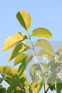 信用卡欠錢未逾期會影響征信么-打征信信用卡欠款多但是沒有逾期
