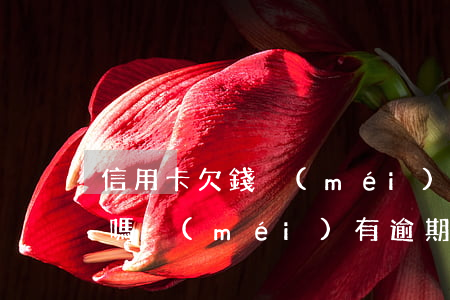 信用卡欠錢沒(méi)逾期可以辦理車貸嗎(沒(méi)有逾期可以辦車貸嗎)