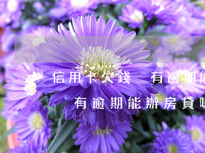 信用卡欠錢沒有逾期能辦房貸嗎(信用卡欠錢沒有逾期能辦房貸嗎)