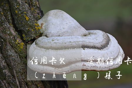 信用卡欠錢沒逾期(信用卡欠錢沒逾期影響爭(zhēng)孩子撫養(yǎng)權(quán)嗎)