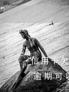 信用卡欠錢沒逾期可以貸款嗎(信用卡欠錢沒逾期可以貸款嗎)