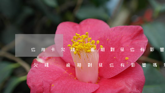 信用卡欠錢沒逾期對征信有影響嗎-信用卡欠錢沒逾期對征信有影響嗎知乎
