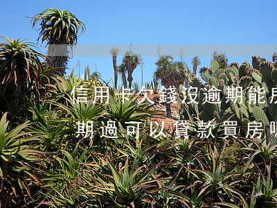 信用卡欠錢沒逾期能房貸嗎(欠信用卡沒有逾期過可以貸款買房嗎)