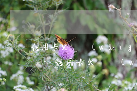 信用卡欠錢網(wǎng)貸也會逾期怎么辦-信用卡欠錢網(wǎng)貸也會逾期怎么辦呢