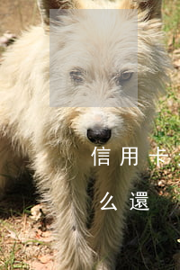 信用卡欠錢逾期2年還(逾期兩年的信用卡怎么還)