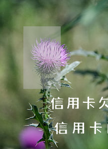 信用卡欠錢逾期不還會(huì)坐牢嗎(欠信用卡的錢還不上會(huì)坐牢嗎)