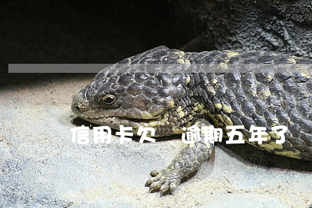 信用卡欠錢逾期五年了