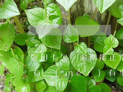信用卡欠錢逾期能正常上班嘛 欠信用卡上班有沒(méi)有事