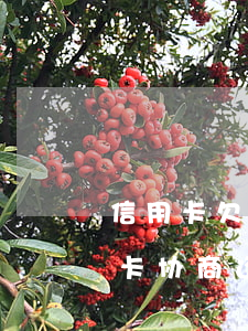 信用卡欠钱协商还款会多收利息吗-跟信用卡协商还款