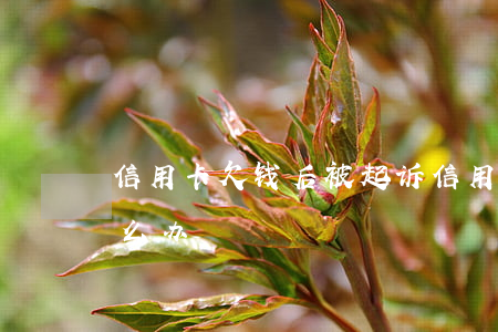 信用卡欠钱后被起诉(信用卡欠钱被起诉了怎么办)