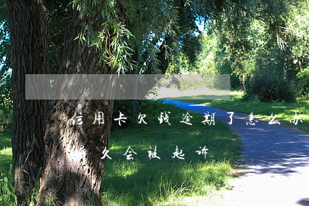 信用卡欠钱逾期了怎么办(欠信用卡的钱逾期多久会被起诉)