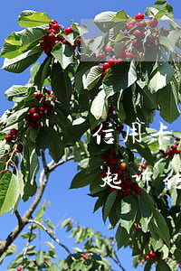 信用卡欠钱逾期可以去法院起诉(银行去法院起诉信用卡逾期怎么办)