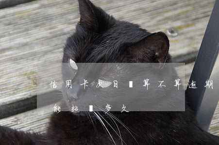 信用卡次日還算不算逾期(還信用卡的期限不能超過多久?)