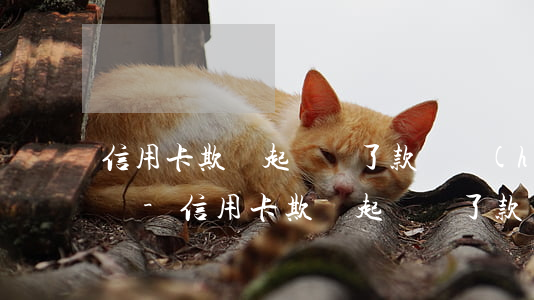 信用卡欺詐起訴還了款還會(huì)怎么樣-信用卡欺詐起訴還了款還會(huì)怎么樣嗎