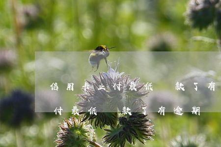 信用卡止付最低還款了有逾期嗎-信用卡止付最低還款了有逾期嗎會坐牢嗎