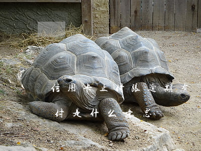 信用卡止付跟逾期有關(guān)系嗎(止付是什么意思)