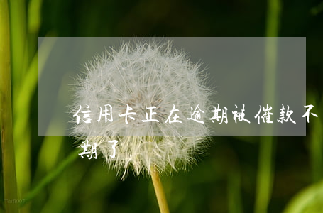 信用卡正在逾期被催款(不知道哪張信用卡逾期了)
