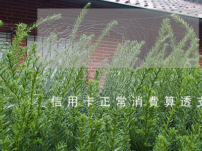 信用卡正常消費算透支嗎