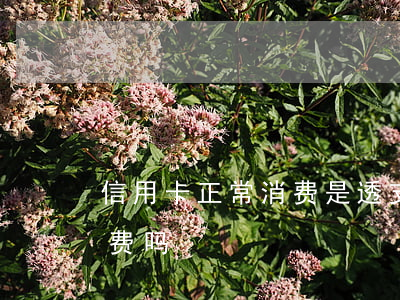 信用卡正常消费是透支吗(信用卡可以透支消费吗)