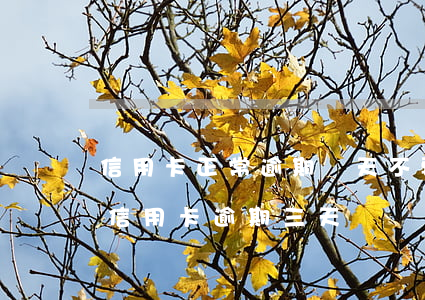 信用卡正常逾期幾天不要緊(每個(gè)月信用卡逾期三天)