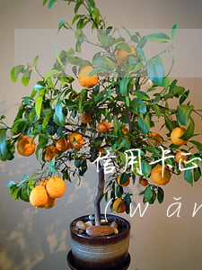 信用卡正常還款網(wǎng)貸不還了(網(wǎng)貸未還清可以申請(qǐng)信用卡嗎)