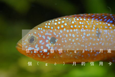 信用卡每個(gè)月逾期還款嗎(逾期好幾個(gè)月的信用卡全部還款了還能用嗎)