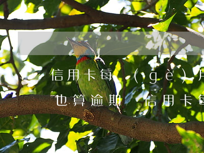 信用卡每個(gè)月還一點(diǎn)也算逾期嗎 信用卡每個(gè)月還一點(diǎn)也算逾期嗎嗎