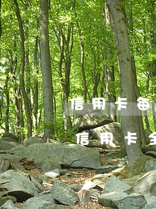 信用卡每個月都會逾期還款(逾期好幾個月的信用卡全部還款了還能用嗎)