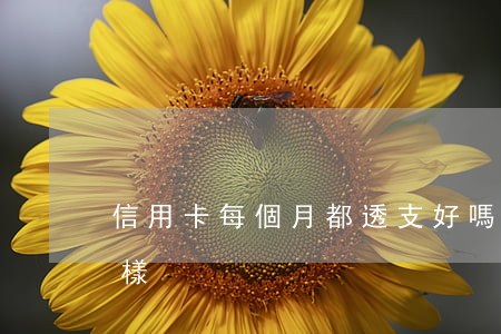 信用卡每個月都透支好嗎(信用卡透支會怎么樣)