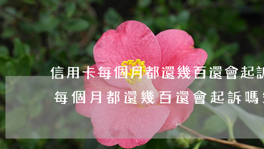 信用卡每個月都還幾百還會起訴嗎-信用卡每個月都還幾百還會起訴嗎知乎