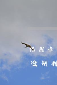信用卡每月卡費(fèi)算逾期嗎(信用卡 逾期 利息)