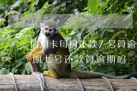 信用卡每月还款7号算逾期吗(信用卡4号到期七号还款算逾期吗)