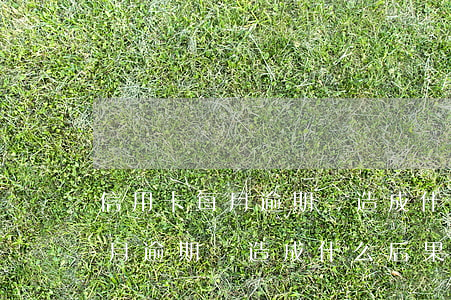 信用卡每月逾期會造成什么后果-信用卡每月逾期會造成什么后果呢