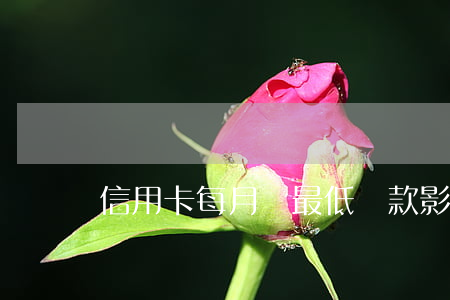 信用卡每月還最低還款影響信譽(yù)嗎