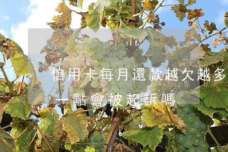 信用卡每月還款越欠越多嗎 欠信用卡每月還一點會被起訴嗎