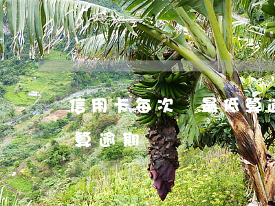 信用卡每次還最低算逾期嗎(信用來還最低不算逾期嗎)
