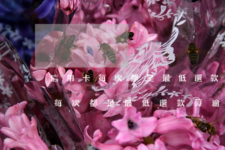 信用卡每次都是最低還款算逾期嗎-信用卡每次都是最低還款算逾期嗎怎么辦