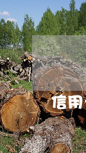 信用卡民事判決后不還錢(信用卡民事訴訟后沒錢還款怎么辦)