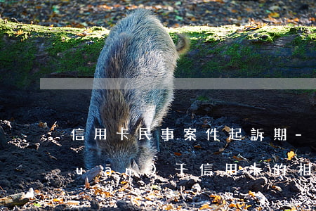 信用卡民事案件起訴期-民事訴訟法關(guān)于信用卡的相關(guān)規(guī)定