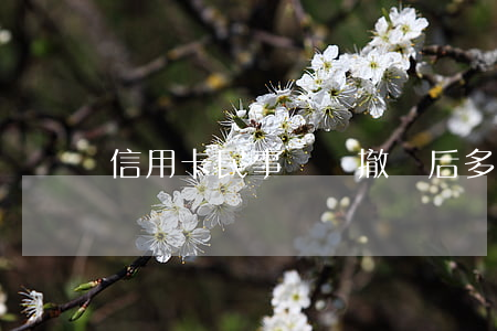 信用卡民事訴訟撤訴后多久可以再起訴