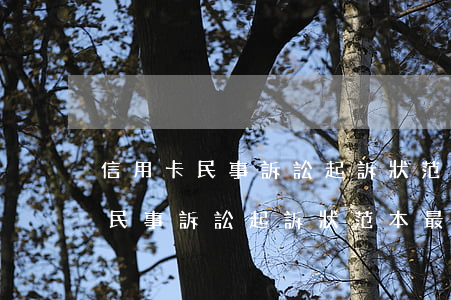 信用卡民事訴訟起訴狀范本最新版-信用卡民事訴訟起訴狀范本最新版圖片
