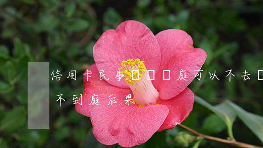 信用卡民事訴訟開庭可以不去嗎(信用卡起訴不到庭后果)