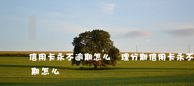 信用卡永不逾期怎么辦理分期（信用卡永不逾期怎么辦）