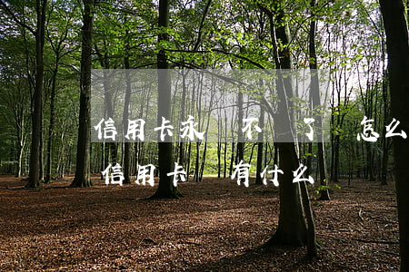 信用卡永遠不還了會怎么樣(如果長時間不還信用卡會有什么問題)
