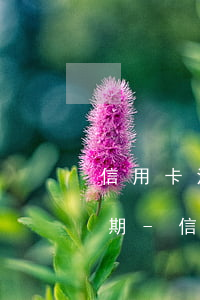 信用卡沒(méi)在還款日還款算不算逾期-信用卡沒(méi)在還款日還款算不算逾期了