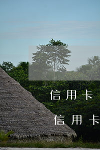 信用卡沒(méi)有全部還清算不算逾期(信用卡未結(jié)清全額算逾期嗎)