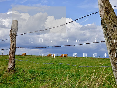 信用卡沒(méi)有逾期但總是申請(qǐng)被拒(信用卡沒(méi)有逾期但總是申請(qǐng)被拒)