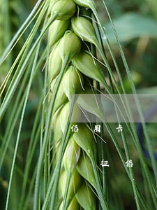 信用卡沒(méi)有逾期會(huì)影響征信嗎6(是不是只有信用卡逾期才會(huì)上征信)