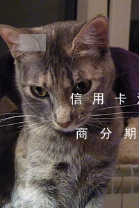 信用卡沒(méi)有逾期能協(xié)商分期嗎(欠信用卡分期還不上可以協(xié)商解決嗎)