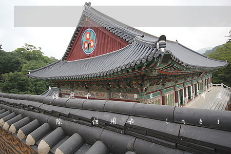 信用卡沒(méi)有逾期被禁用了怎么解除-信用卡沒(méi)有逾期被禁用了怎么解除限制